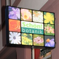 (c) Botania.info
